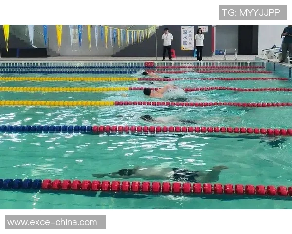 全国游泳比赛精彩落幕 各项赛事高潮迭起 创新技术助力选手突破极限