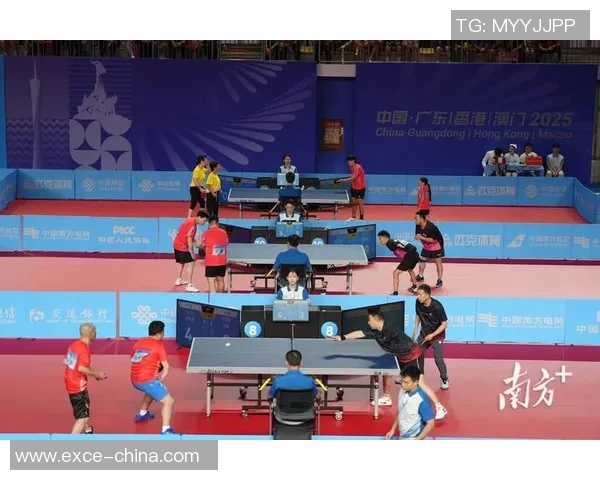 乒乓球的魅力之旅：深入深圳乒乓球队的训练与比赛节奏探秘