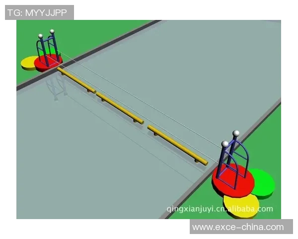 上海极限运动队灵活性深度对比分析与发展趋势探讨 上海极限运动队灵活性深度对比分析与发展趋势探讨