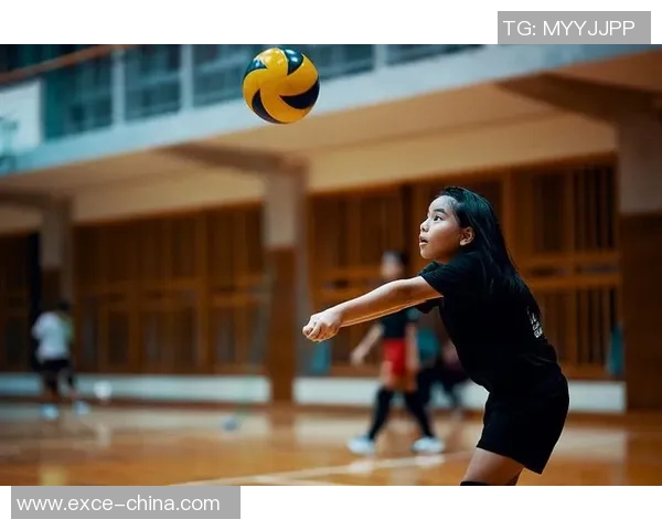 深度对话:陈娜如何在排球赛场上书写自己的传奇人生 深度对话:陈娜如何在排球赛场上书写自己的传奇人生