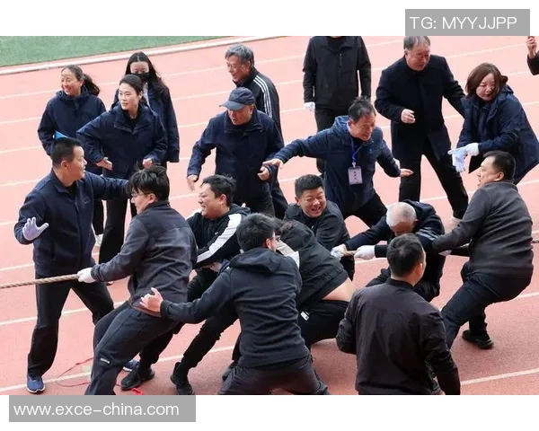 竞技体育中的挑战与突破：从个人极限到团队协作的全面探索
