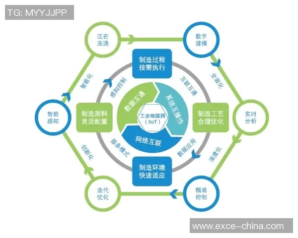 西安网球队在阵地战中的表现分析与未来发展展望