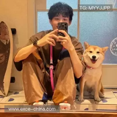 刁帆展